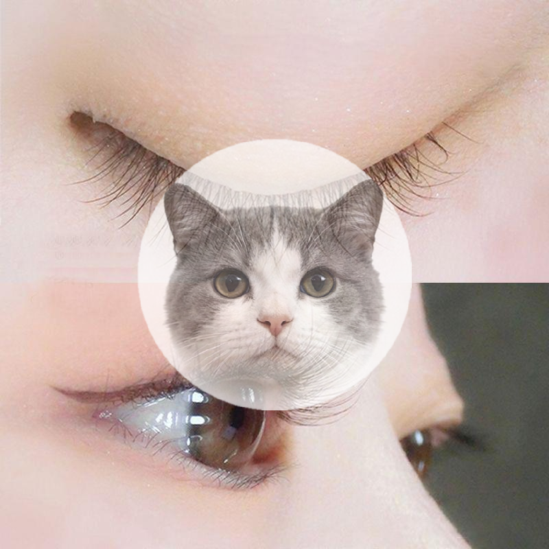 Black Self Adhesive False Eyel - Eyelash Extension No 11 avis et prix