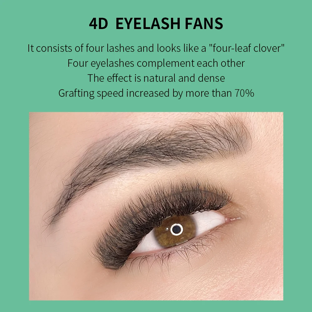 GLAMLASH 4D W Shape Eyelash Ex - Eyelash Extension Fan avis et prix
