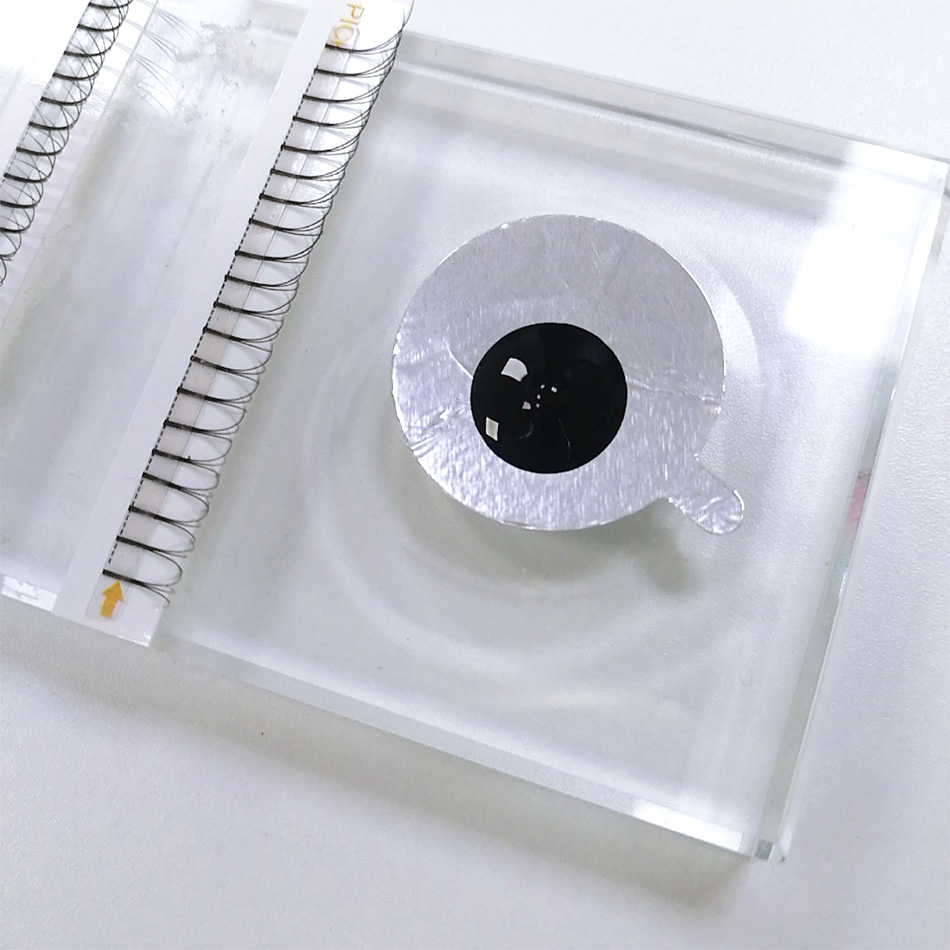 300Pcs/pack Disposable Waterpr - Lash Mapping Sticker avis et prix