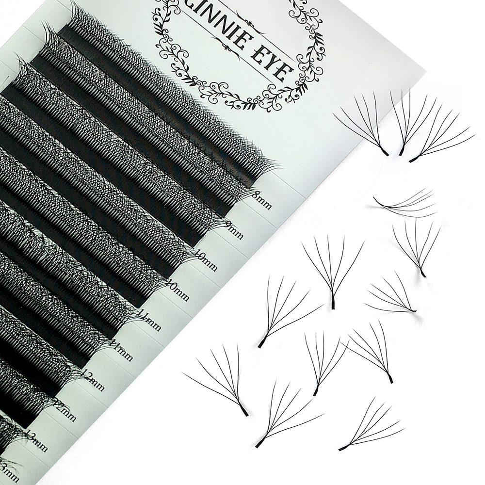 6DW Lash Extensions 5DW Premad - Eyelash Extension Logo avis et prix