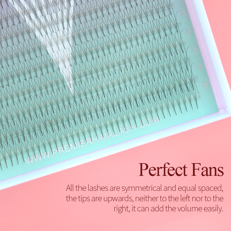 Song Lashes 3D8D10D Pointy Bas - Eyelash Extension Fan avis et prix