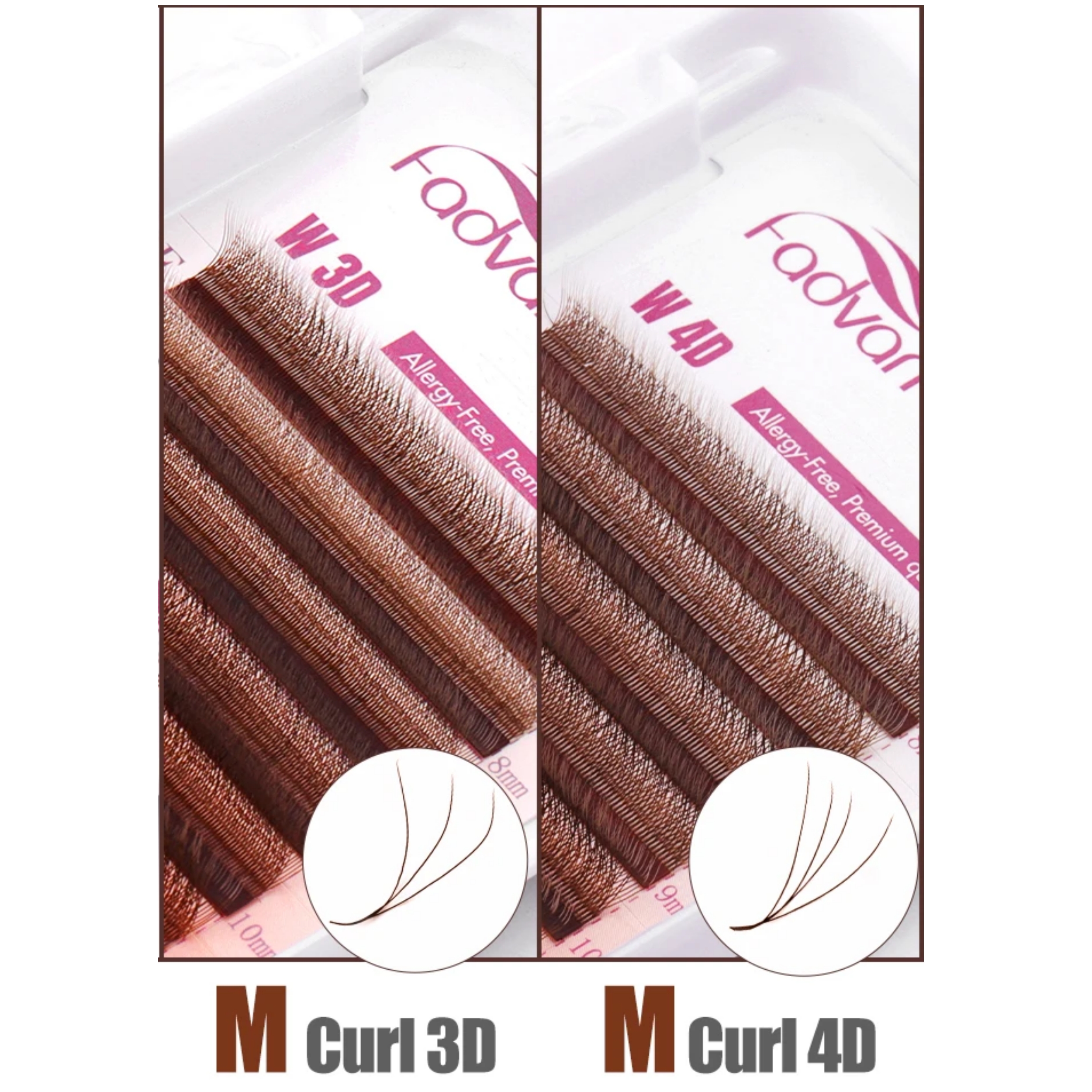 FADVAN Brown 3D/4D W Shape D C - Eyelash Extension Fan avis et prix