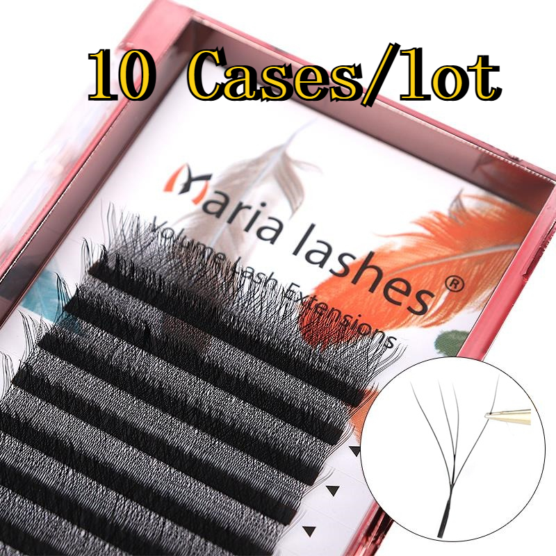 MARIA 10 Cases 4D W Shaped Bea - Eyelash Extension Fan avis et prix