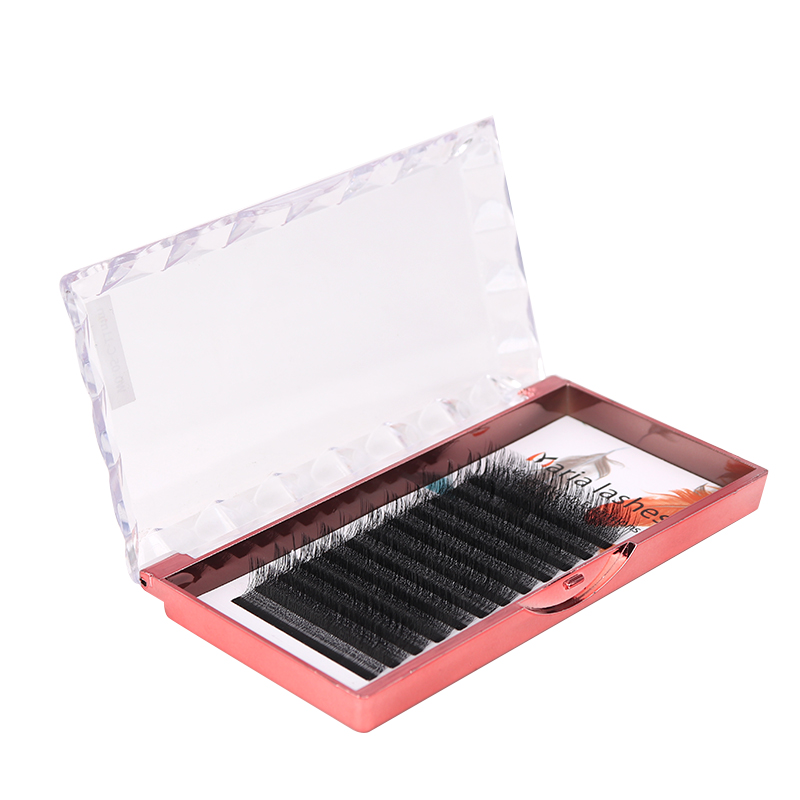 MARIA 10 Cases 4D W Shaped Bea - Eyelash Extension Fan avis et prix