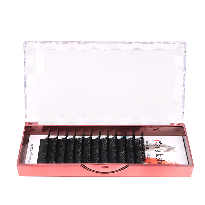 MARIA 10 Cases 4D W Shaped Bea - Eyelash Extension Fan avis et prix